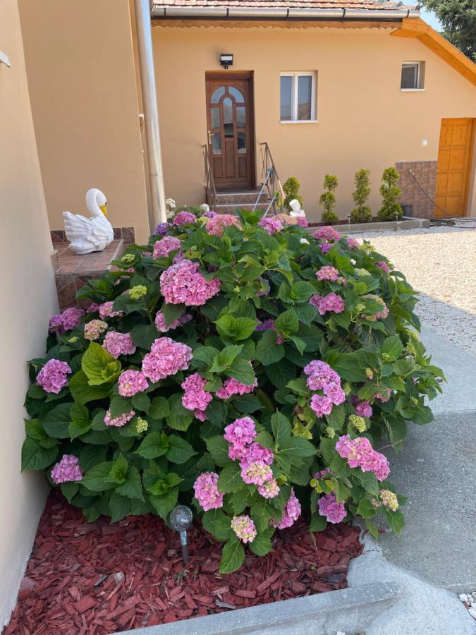 Toerpi Apartman Halmaj Exteriör bild